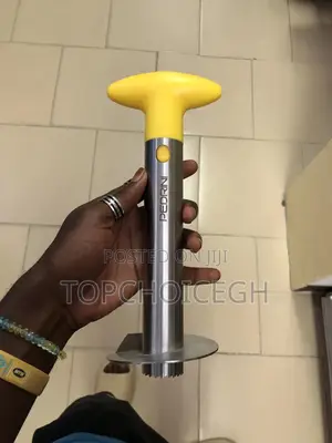 Pineapple Slicer