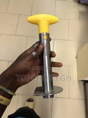 Pineapple Slicer