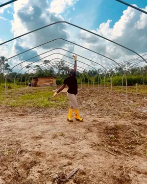 Commercial Greenhouse Farm