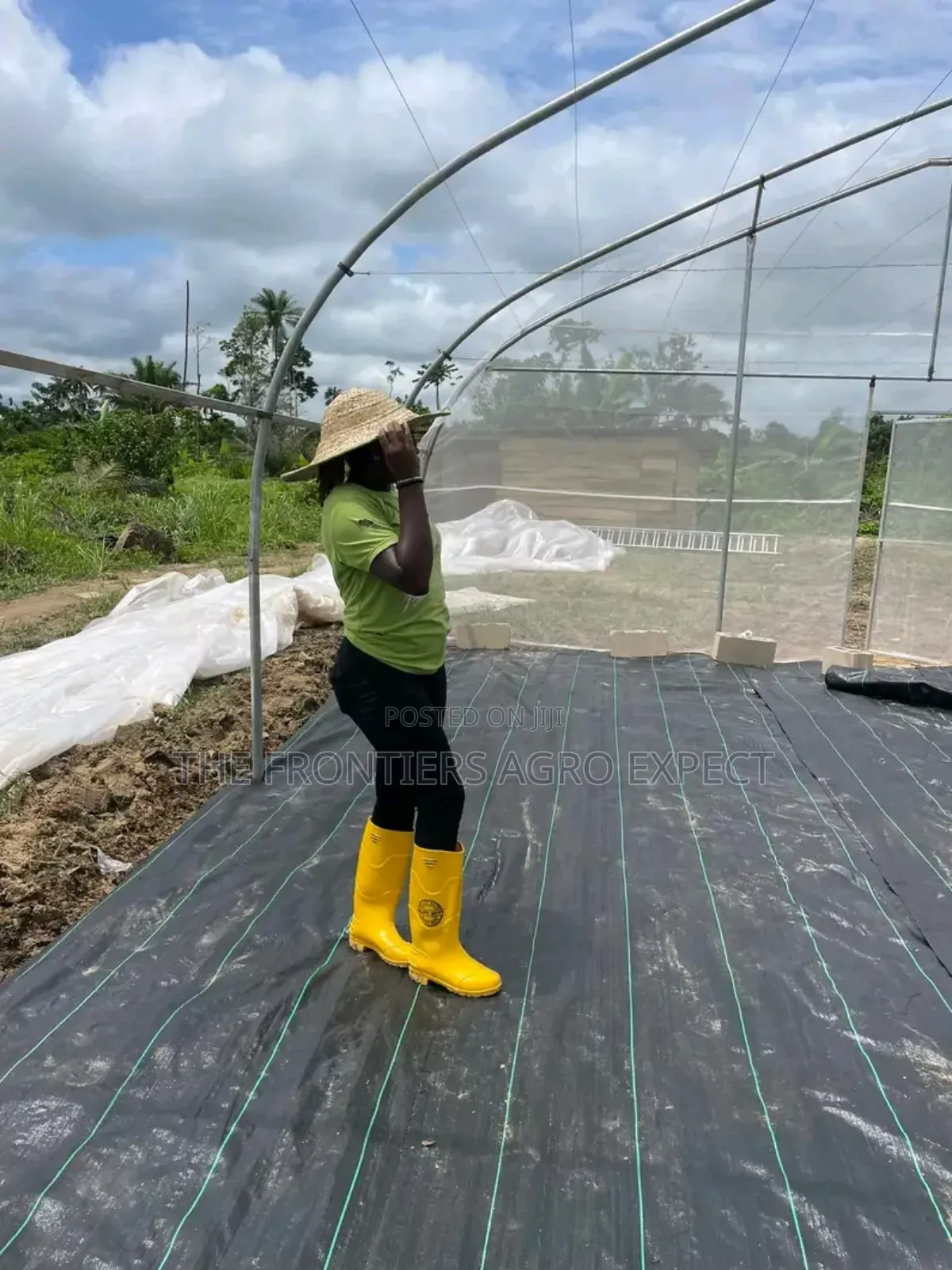 Commercial Greenhouse Farm