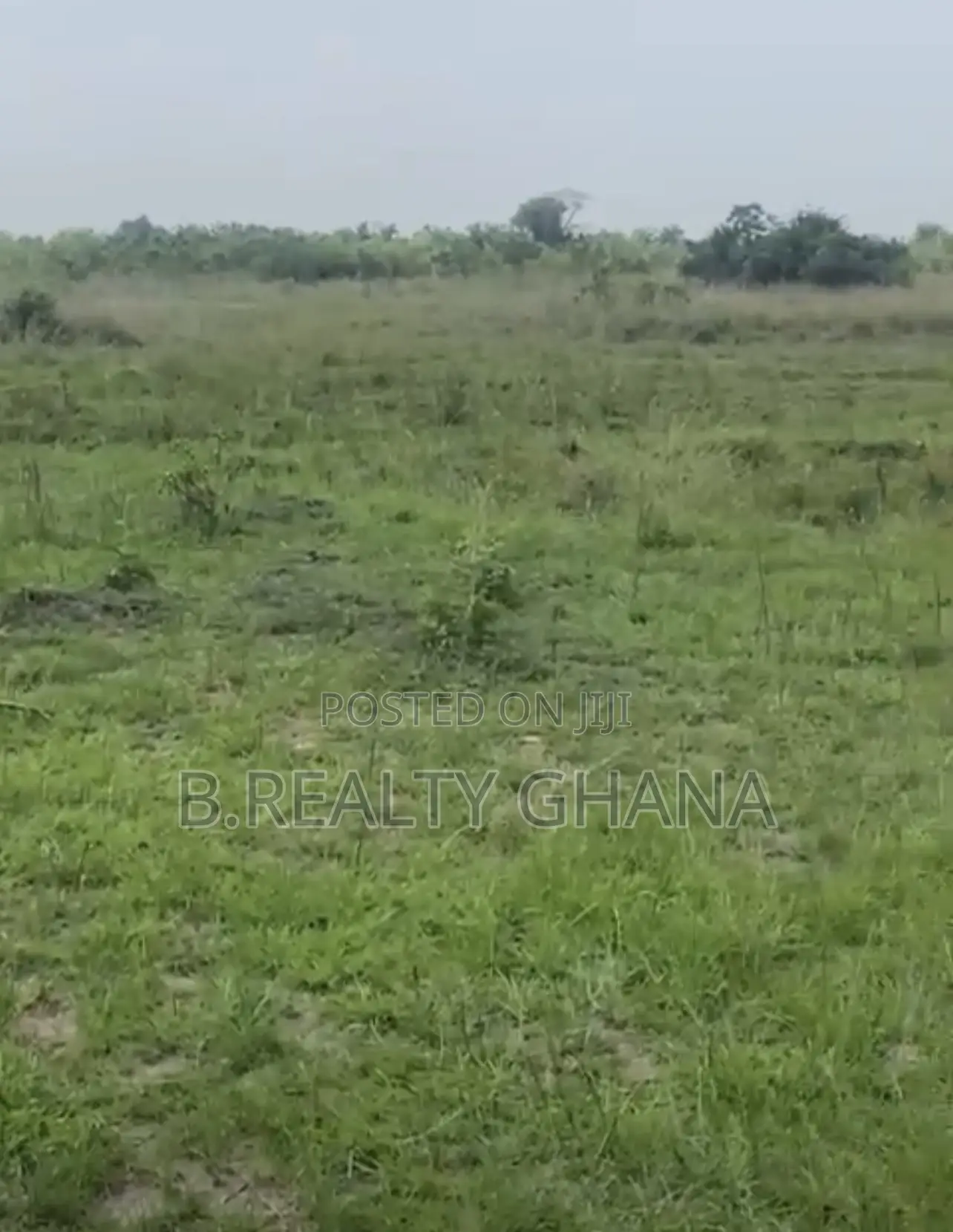 Titled Plots of Land at Ayikuma for Sale
