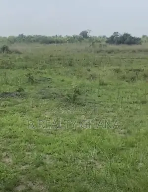 Titled Plots of Land at Ayikuma for Sale