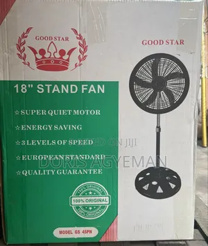 Standing Fan