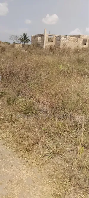 No Pressure but Quite Important. Buy and Secure Lands Now!