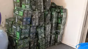 Irish Spring Soap(Usa 20pieces)