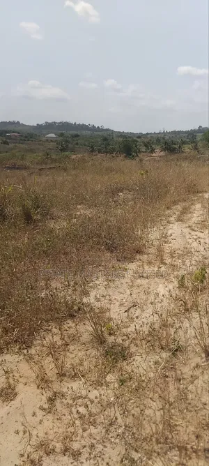 Fast Sales! Join in and Secure a Plot or More!!