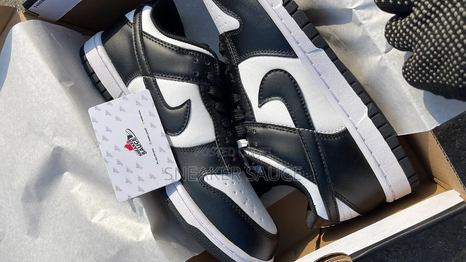 Nike Sb Panda Dunks 