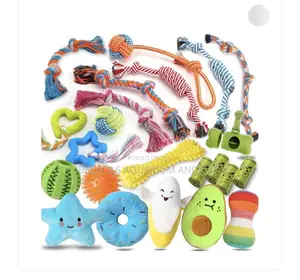 Dog Playing Toys
