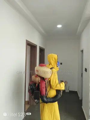 Fumigation Service Bedbug,Cockroache,Termites,Snake,Replied