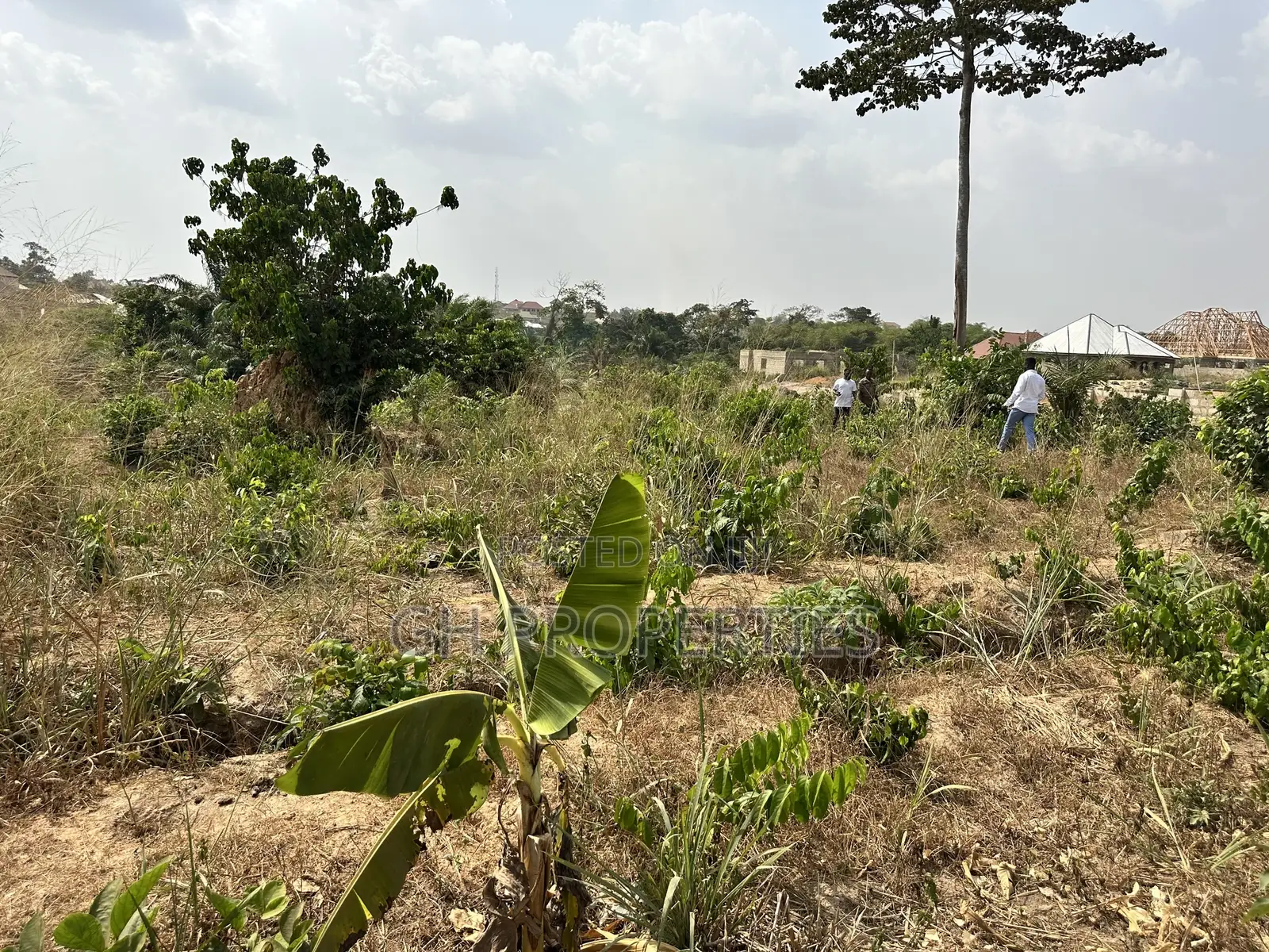 One Plot for Sale at Trede,Kankyre.