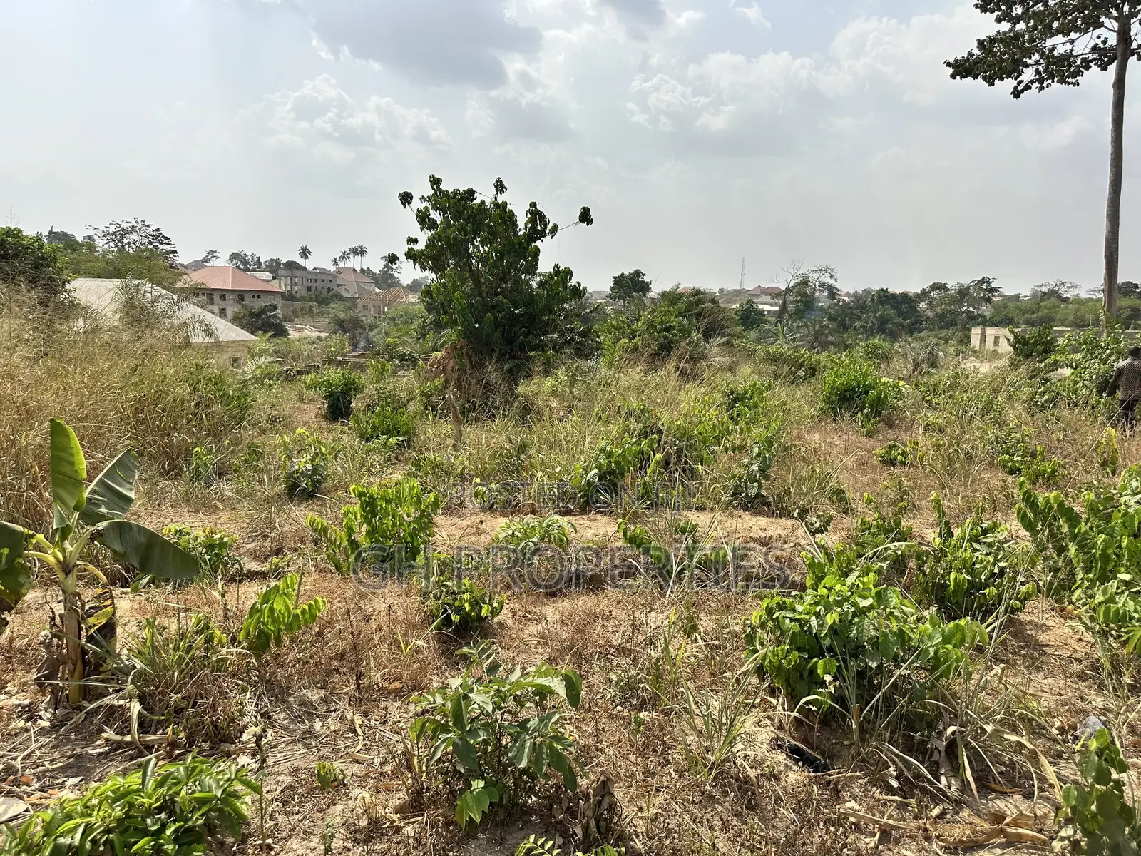 One Plot for Sale at Trede,Kankyre.