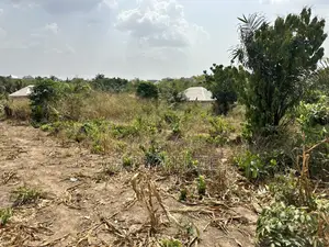 One Plot for Sale at Trede,Kankyre.