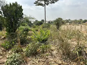 One Plot for Sale at Trede,Kankyre.