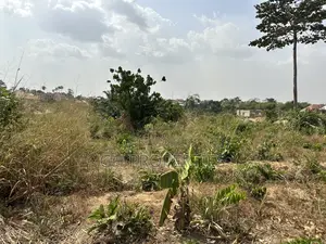 One Plot for Sale at Trede,Kankyre.