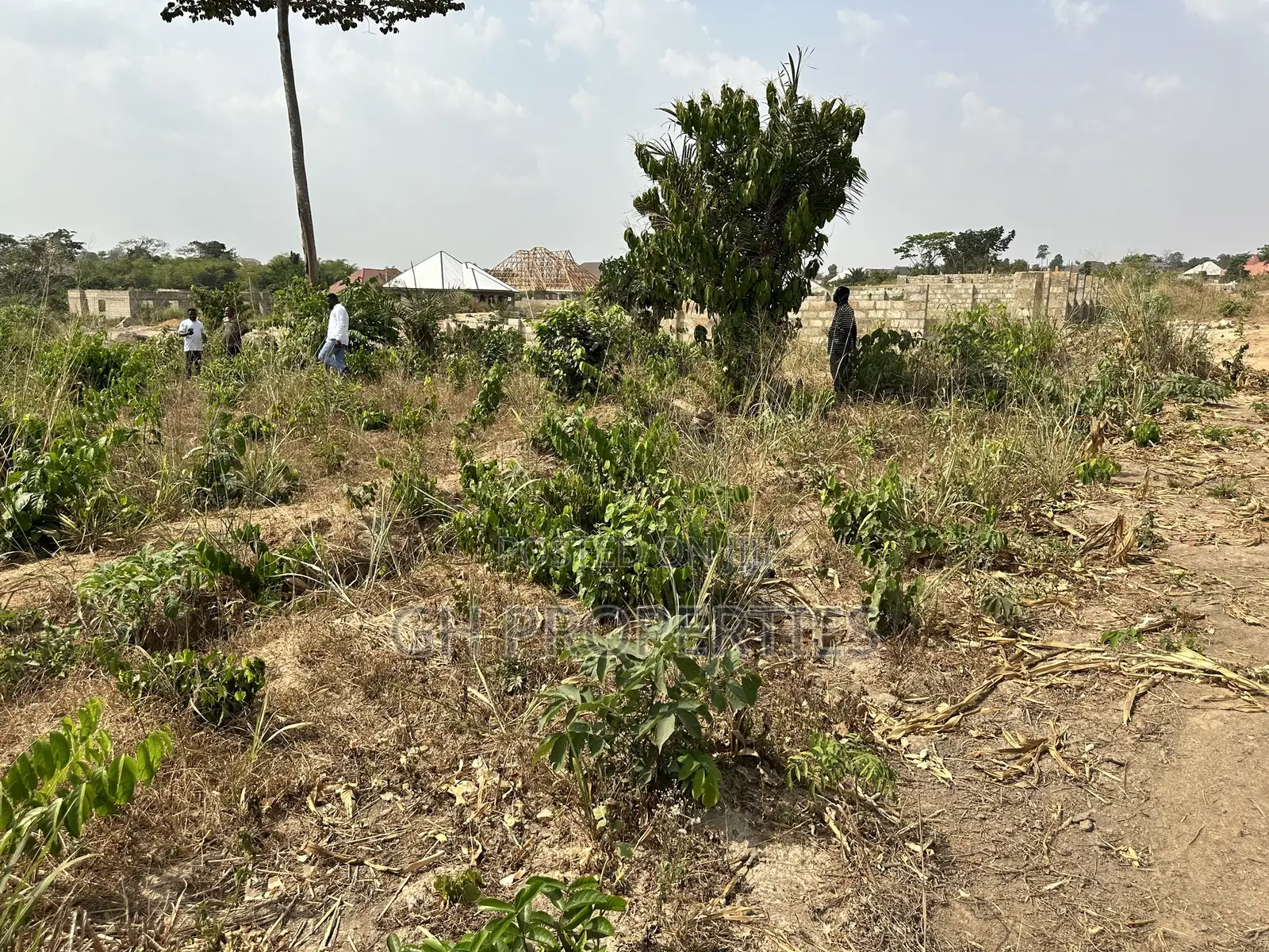 One Plot for Sale at Trede,Kankyre.