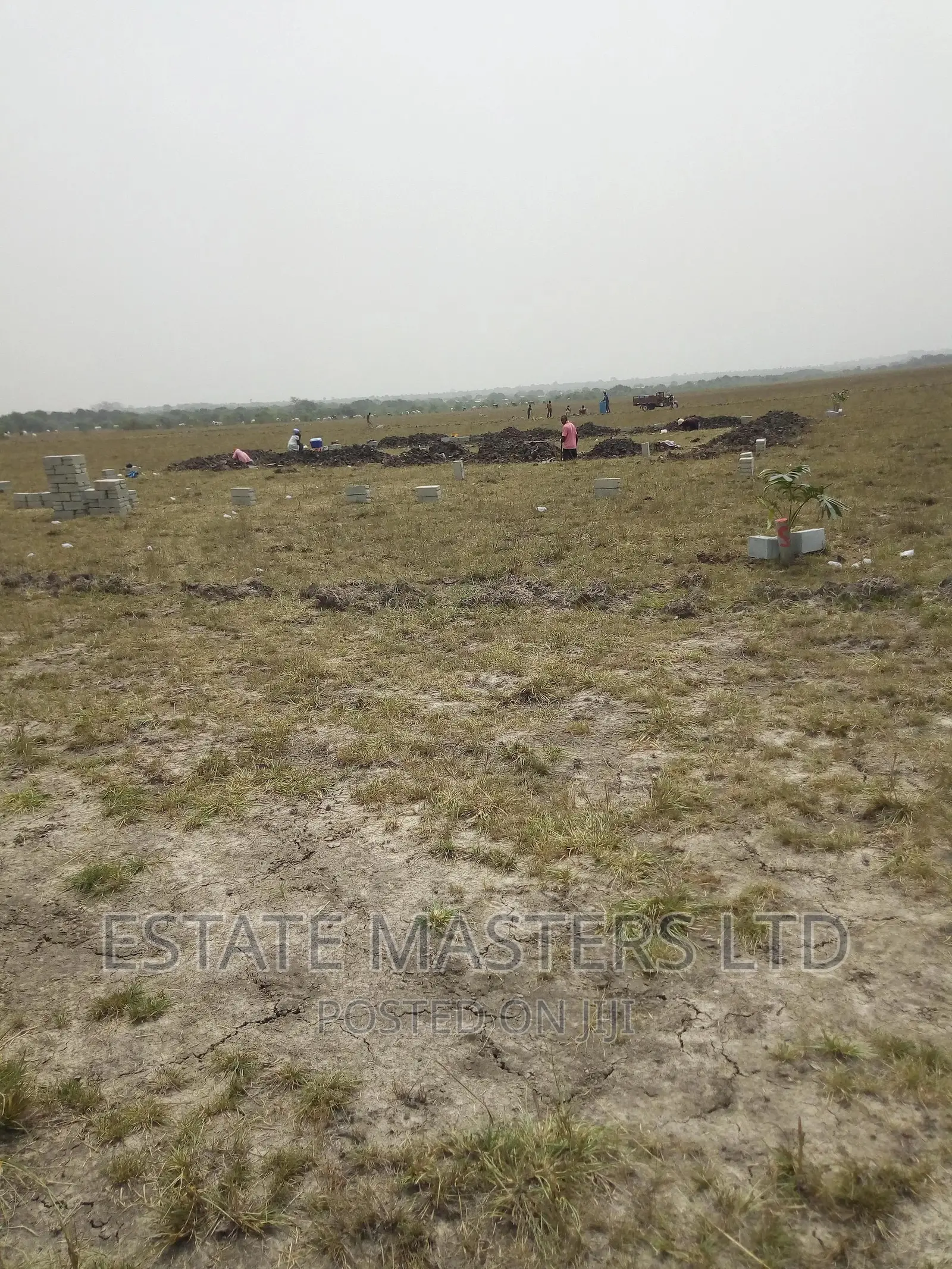Invest in Registered Land at Tsopoli