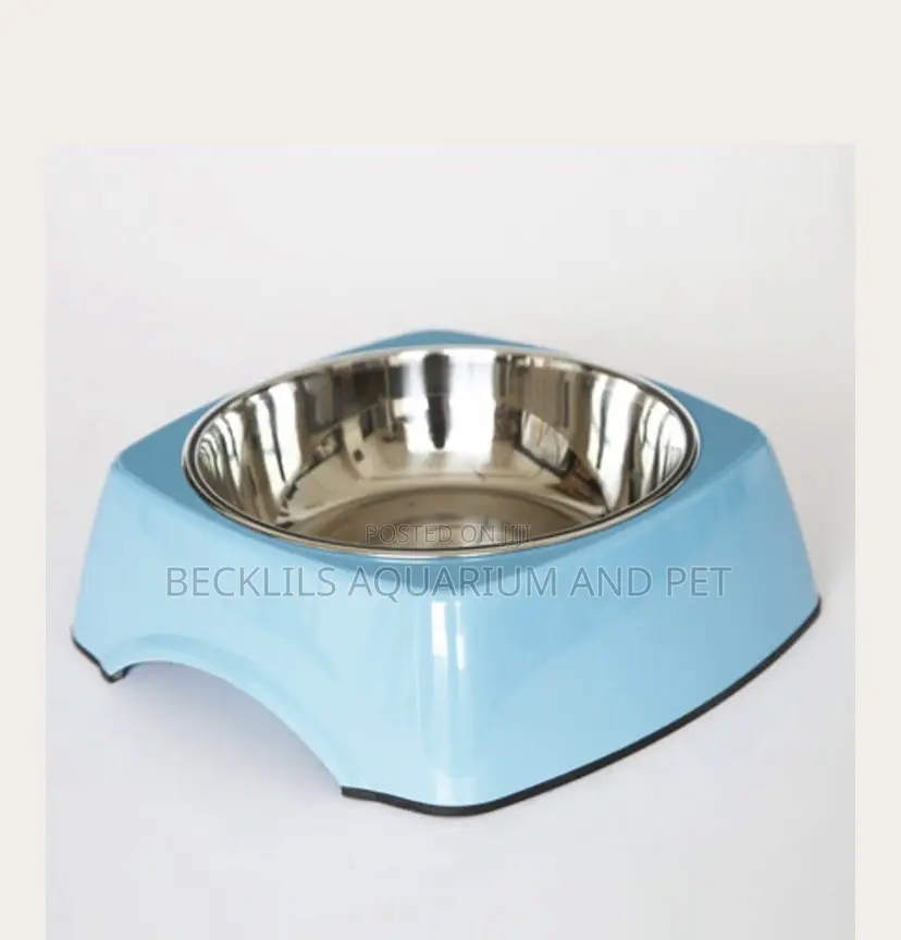 Dog Bowl 2 in 1 Square