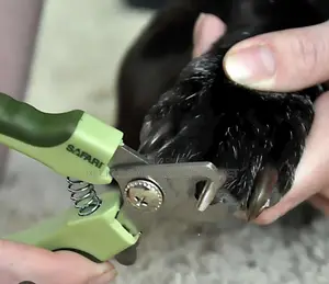 Dog Nail Clippers