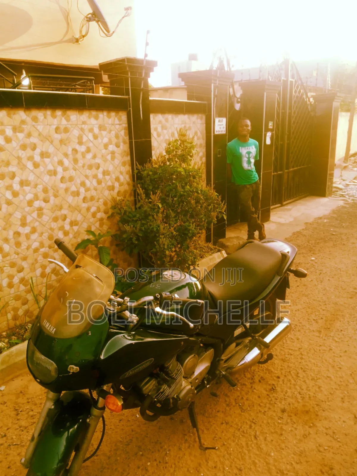 Yamaha Crux 1994 Green