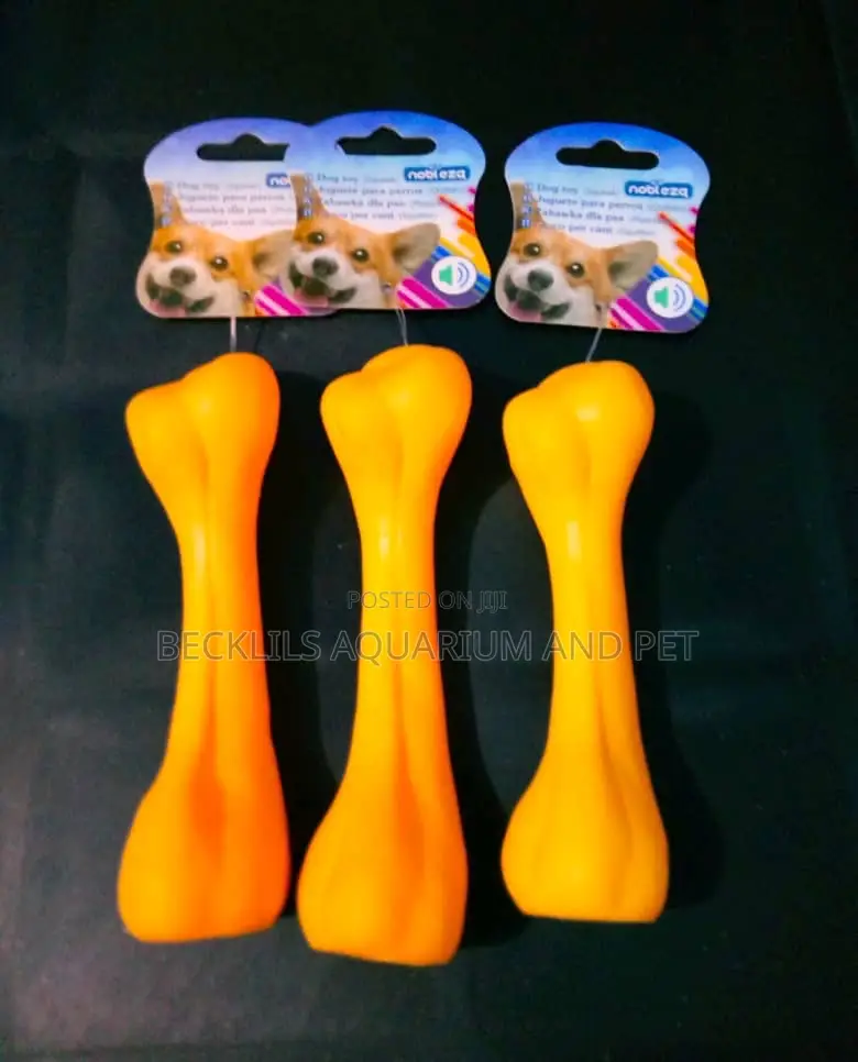 Dog Playing Toy Bone