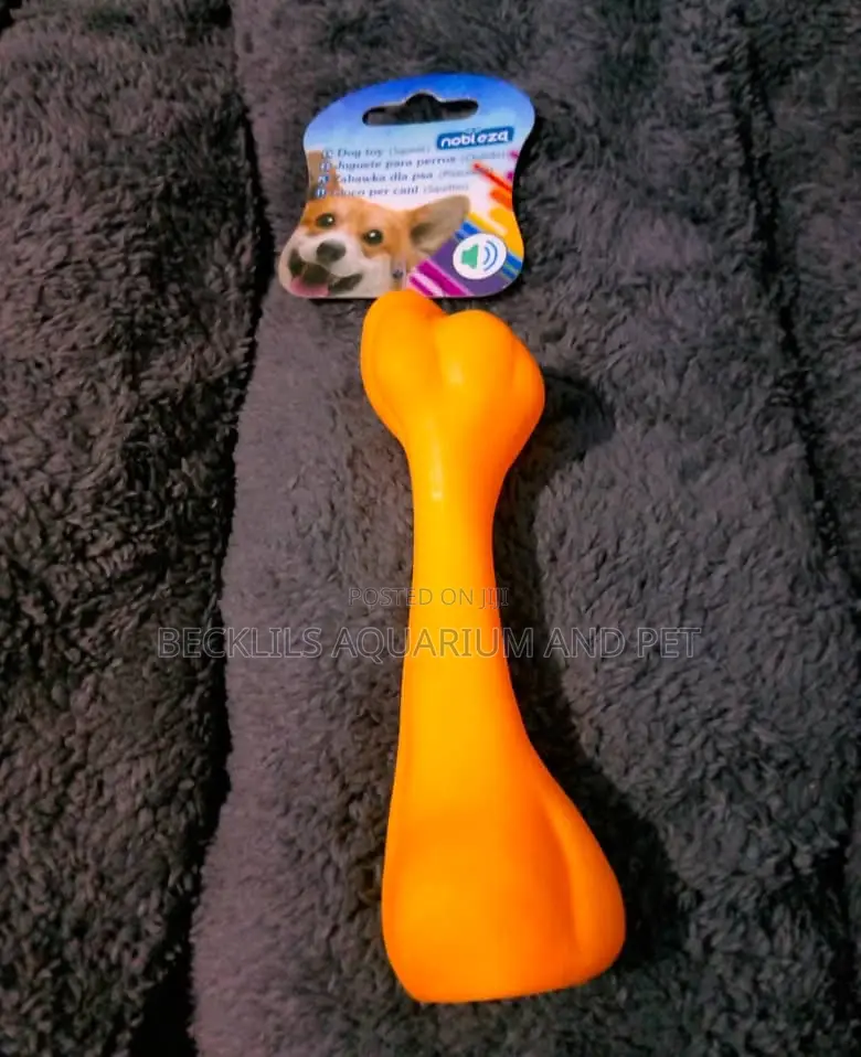 Dog Playing Toy Bone
