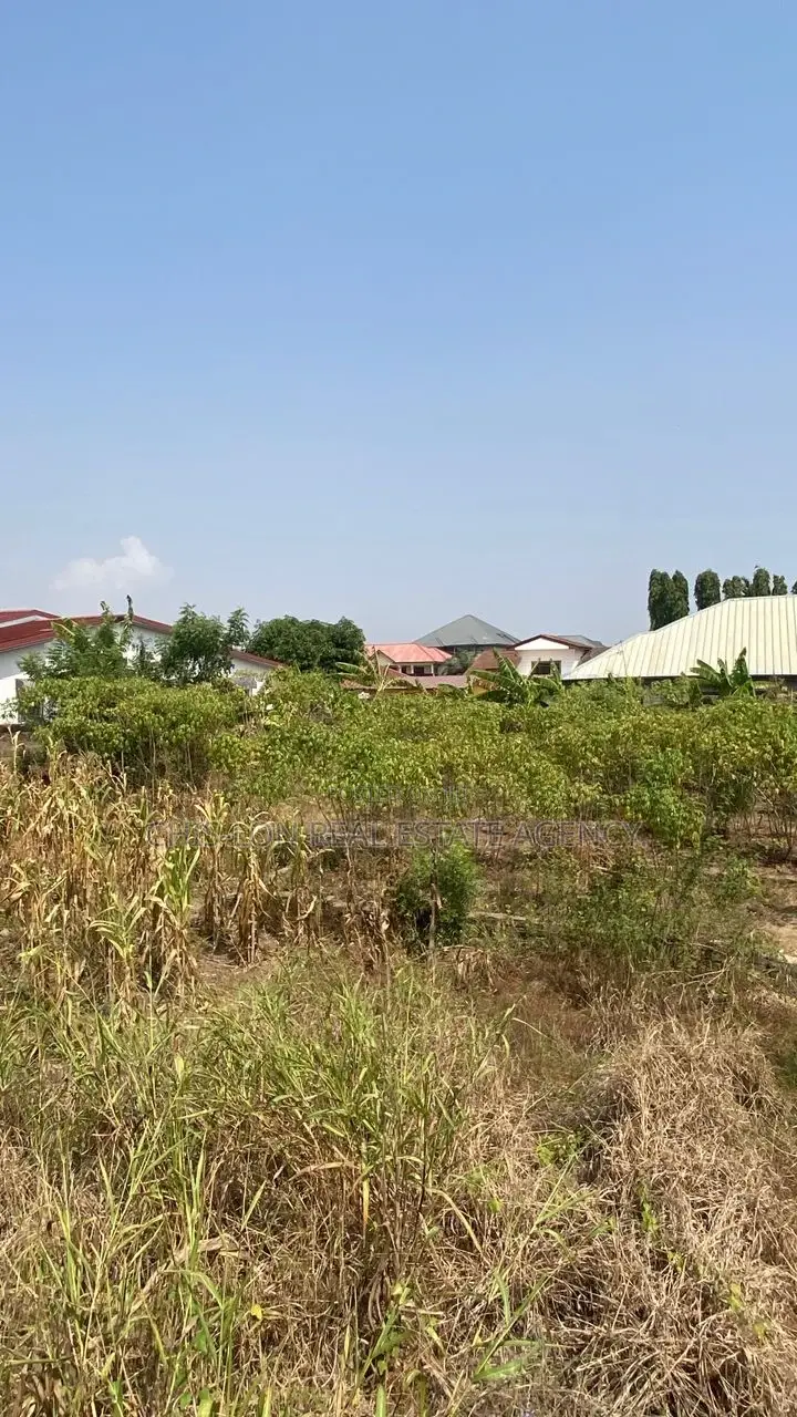 Hotcake Land for Sale