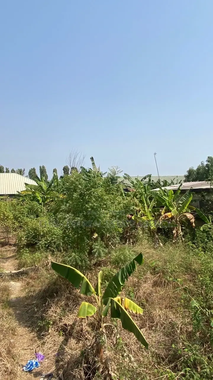 Hotcake Land for Sale
