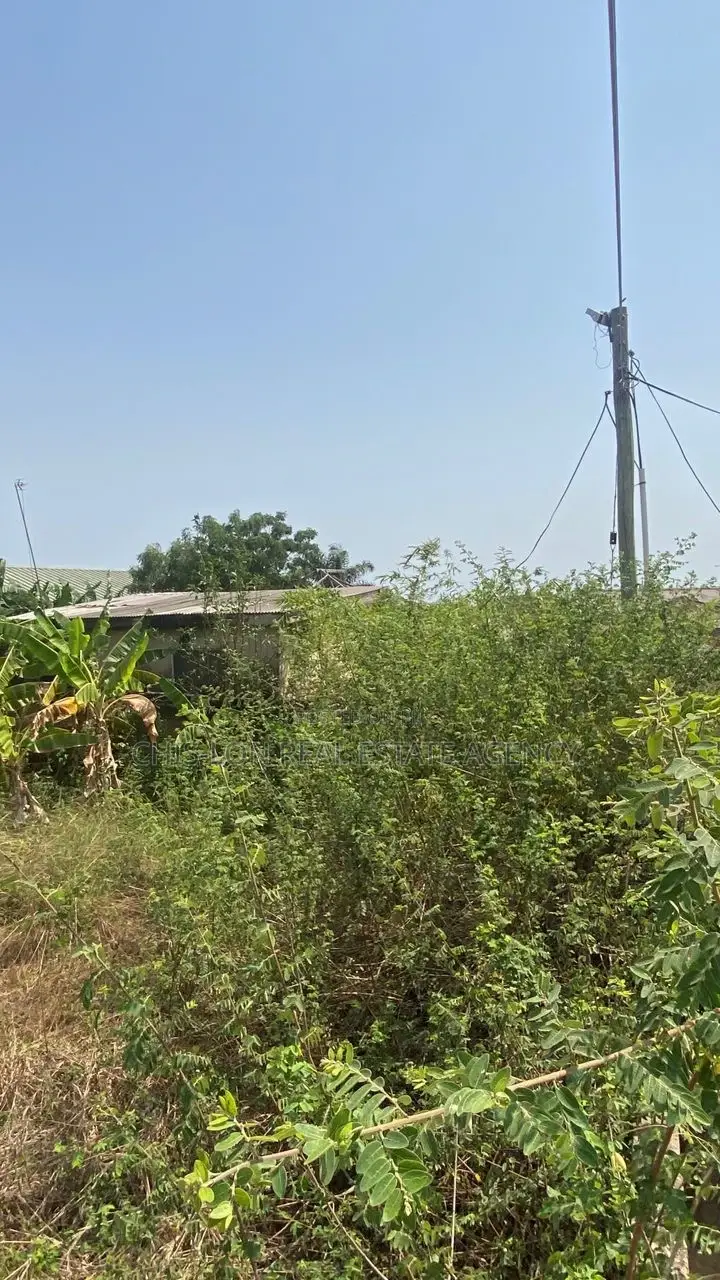 Hotcake Land for Sale