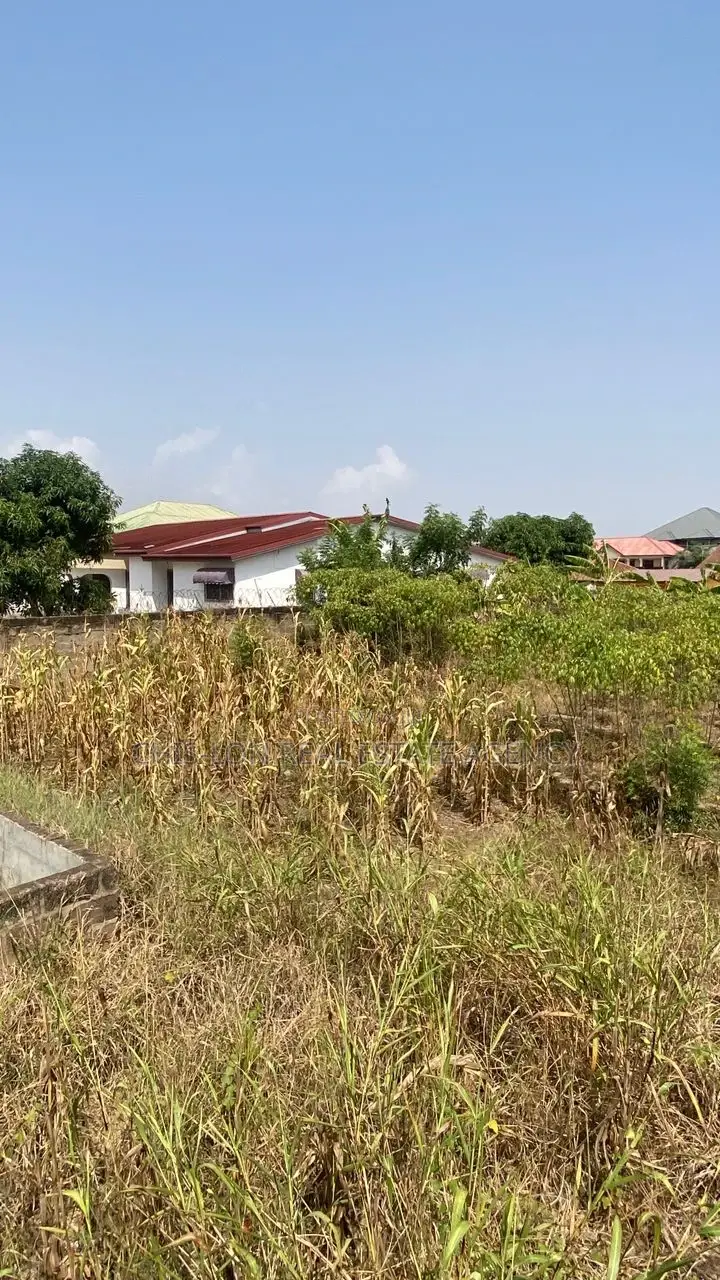 Hotcake Land for Sale