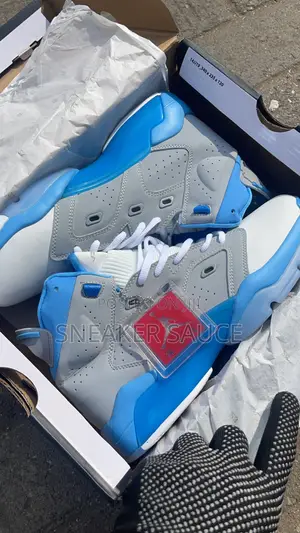 Jordan 6 New Edition