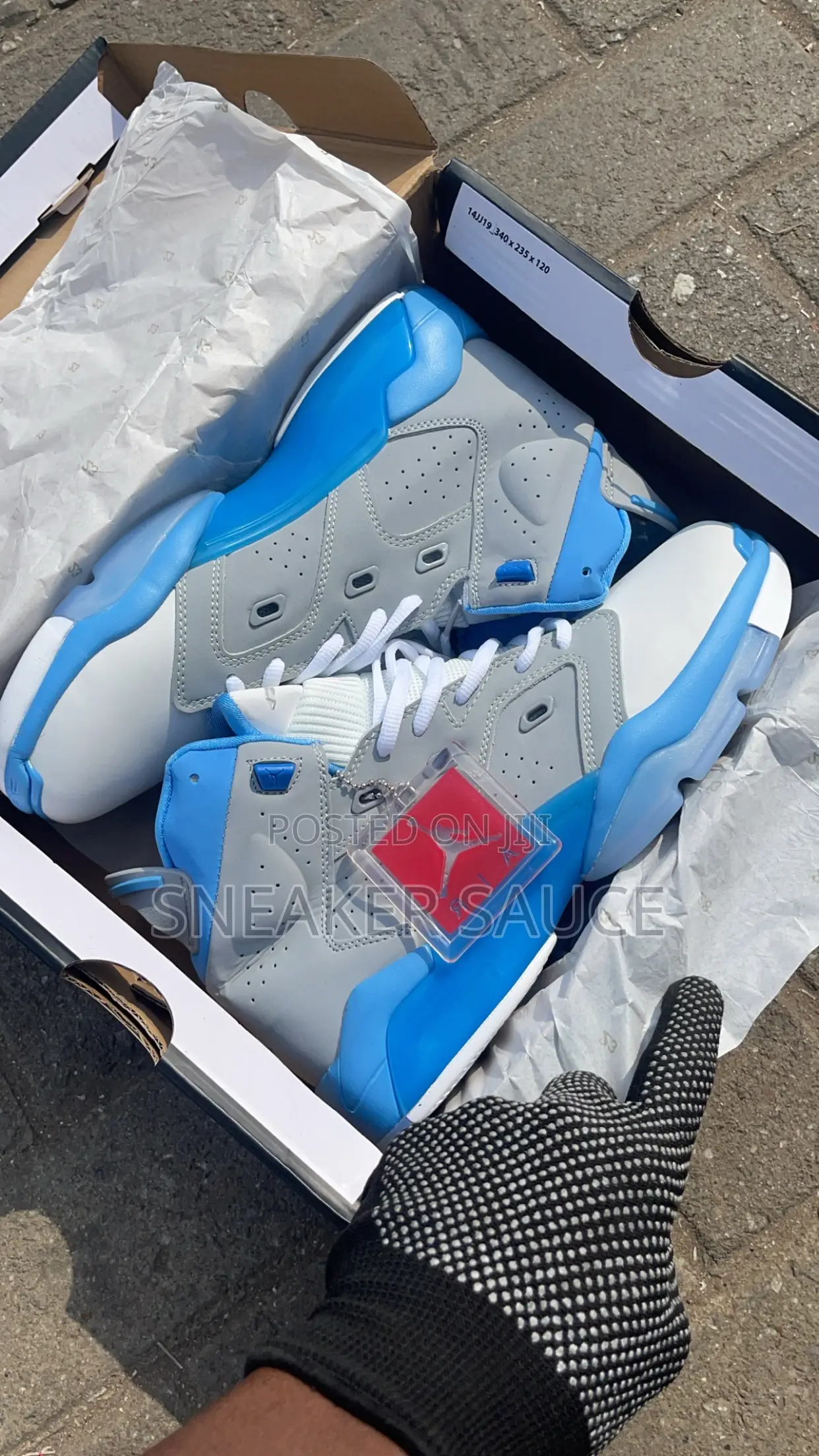 Jordan 6 New Edition