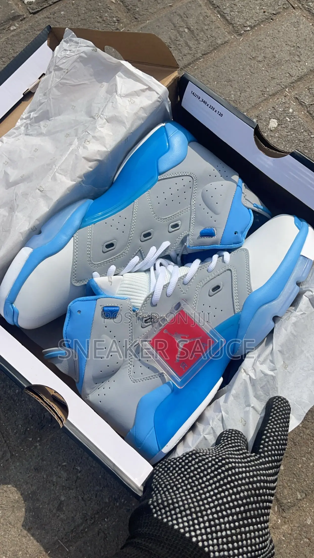 Jordan 6 New Edition