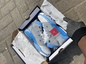 Jordan 6 New Edition