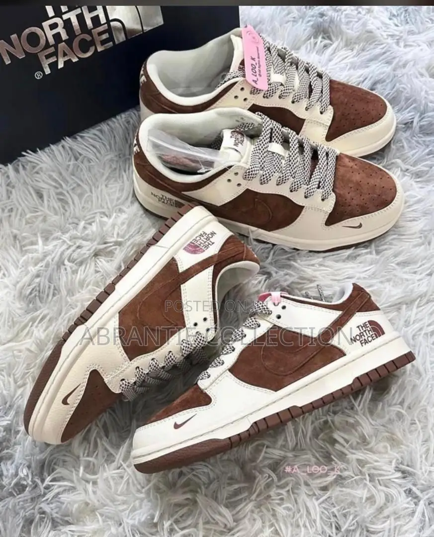 Nike Sb Dunk Low X North Face