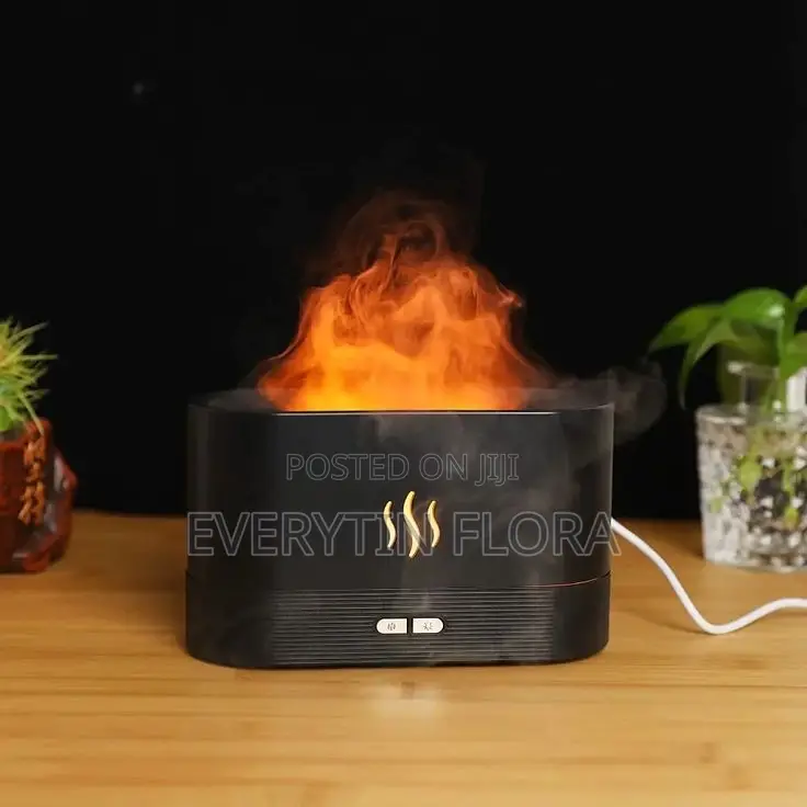 Humidifier or Essential Oil Diffuser
