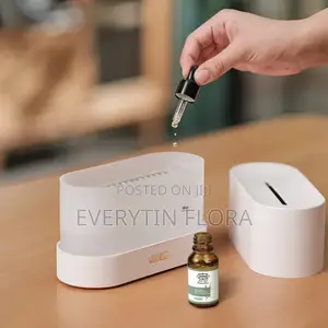 Humidifier or Essential Oil Diffuser