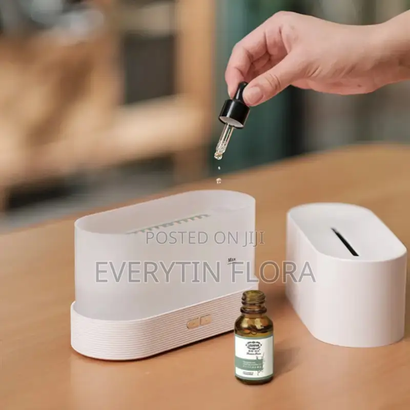 Humidifier or Essential Oil Diffuser