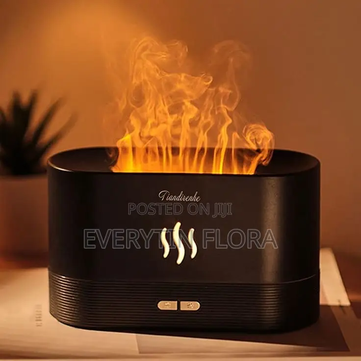 Humidifier or Essential Oil Diffuser