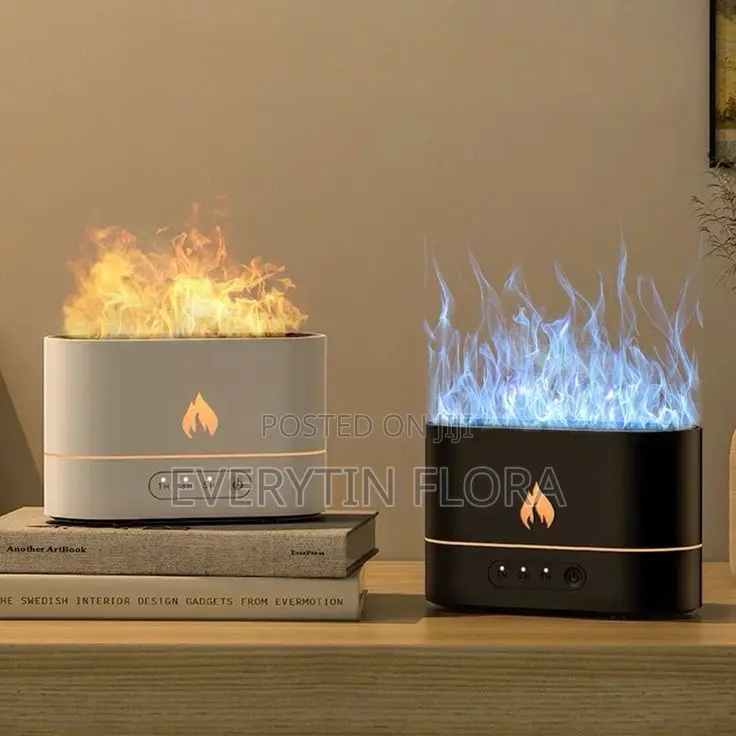 Humidifier or Essential Oil Diffuser