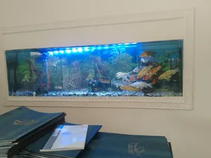 Wall Unit Aquarium