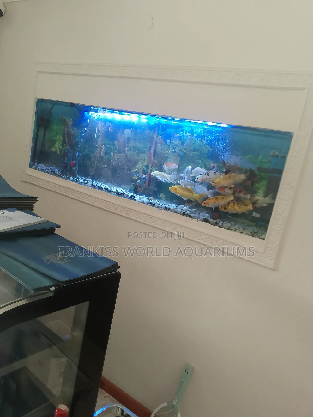 Wall Unit Aquarium