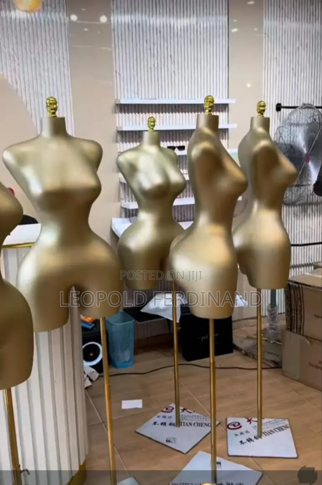 Gold Matt BBL Mannequins