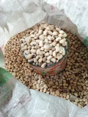 Nijel Beans