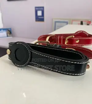 Dog Airtag Collar