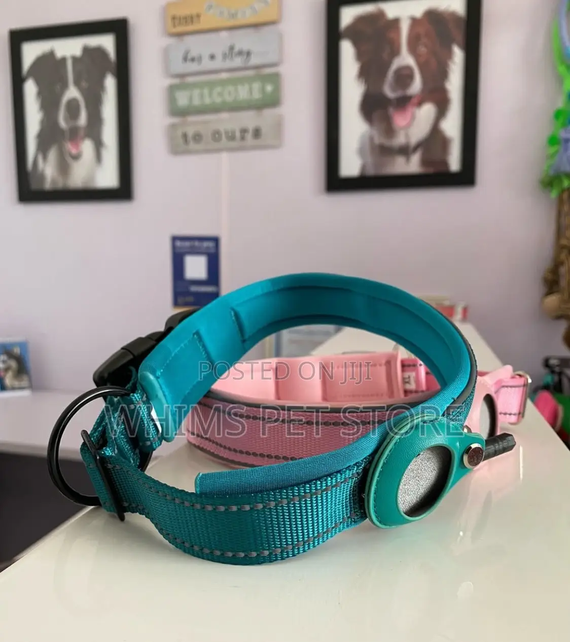Dog Airtag Collar