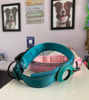 Dog Airtag Collar