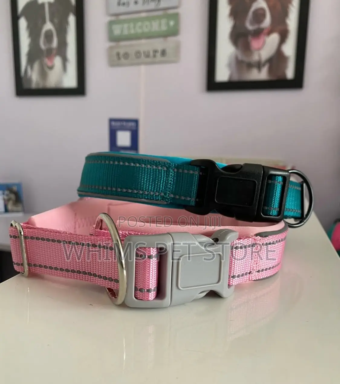 Dog Airtag Collar