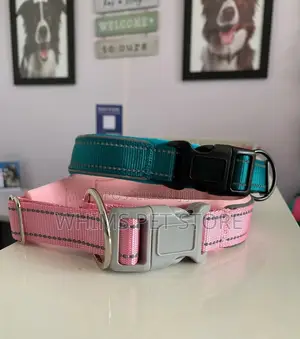 Dog Airtag Collar