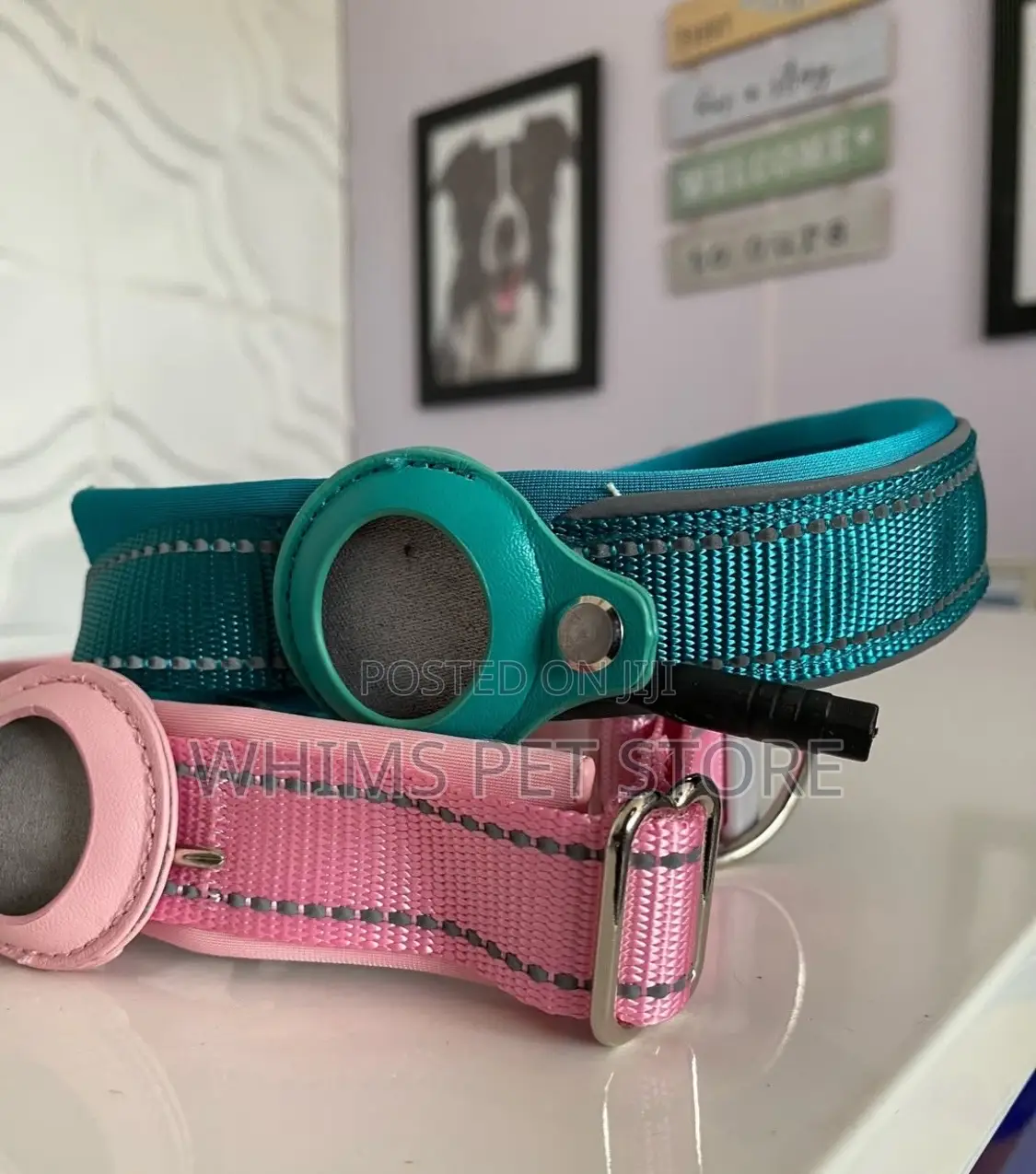 Dog Airtag Collar