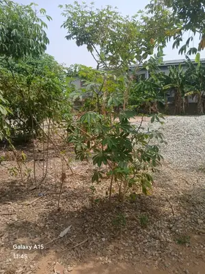 Decent Land for Sale.